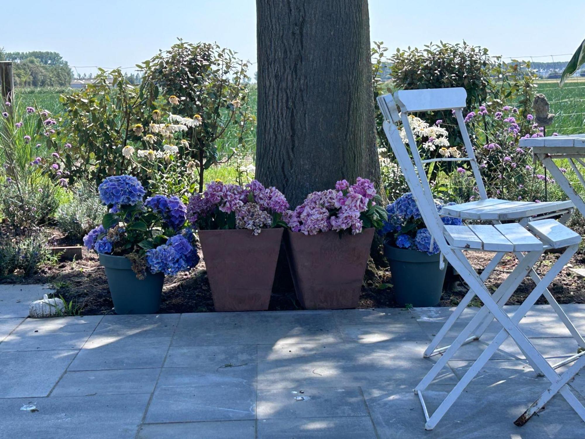 B&B Hieris'T Hoofdplaat Exterior foto